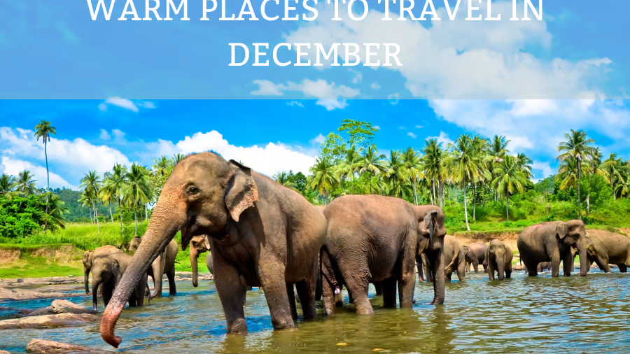 Warm Places To Travel in December