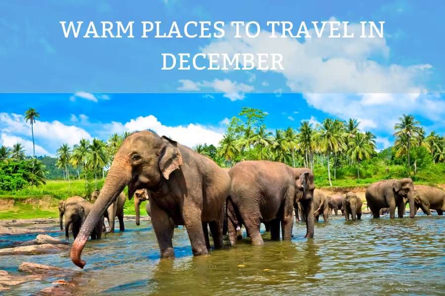 Warm Places To Travel in December